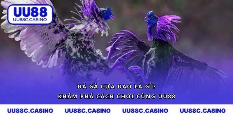 Đá Gà Cựa Dao Là Gì? Khám Phá Cách Chơi Cùng mvp999