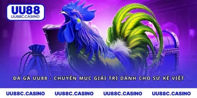 Đá Gà mvp999 - 3 Sảnh Cược Người Chơi Không Thể Bỏ Lỡ