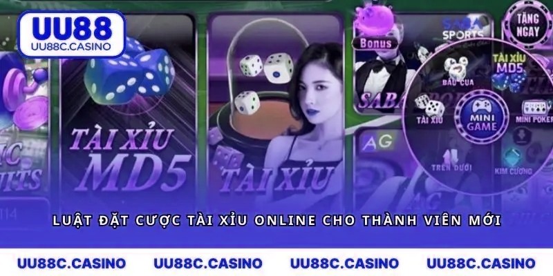 Luật đặt cược tài xỉu online dành cho các thành viên mới