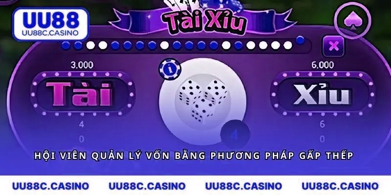 Hội viên quản lý vốn bằng phương pháp gấp thếp 