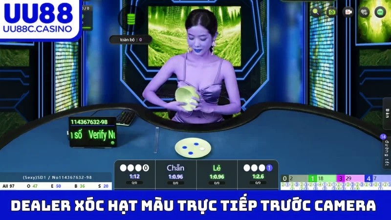 Dealer xóc hạt màu trực tiếp trước camera