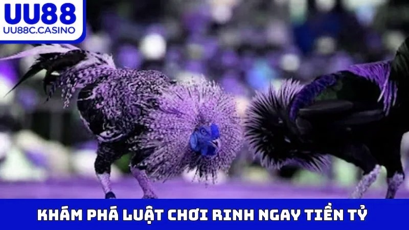 Khám phá luật chơi rinh ngay tiền tỷ