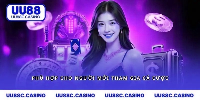 Nền tảng mvp999 hoàn toàn phù hợp cho người mới tham gia cá cược